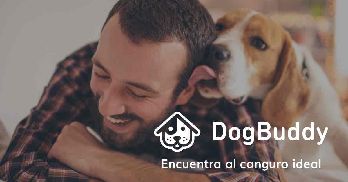 vacaciones para tu mascota en Granada